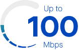100 Mbps